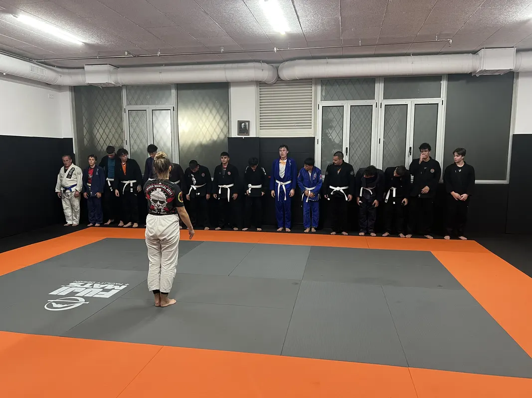 Brazilian Jiu-Jitsu - 3