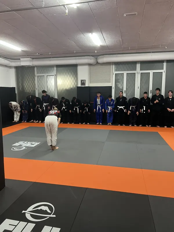 Brazilian Jiu-Jitsu - 4