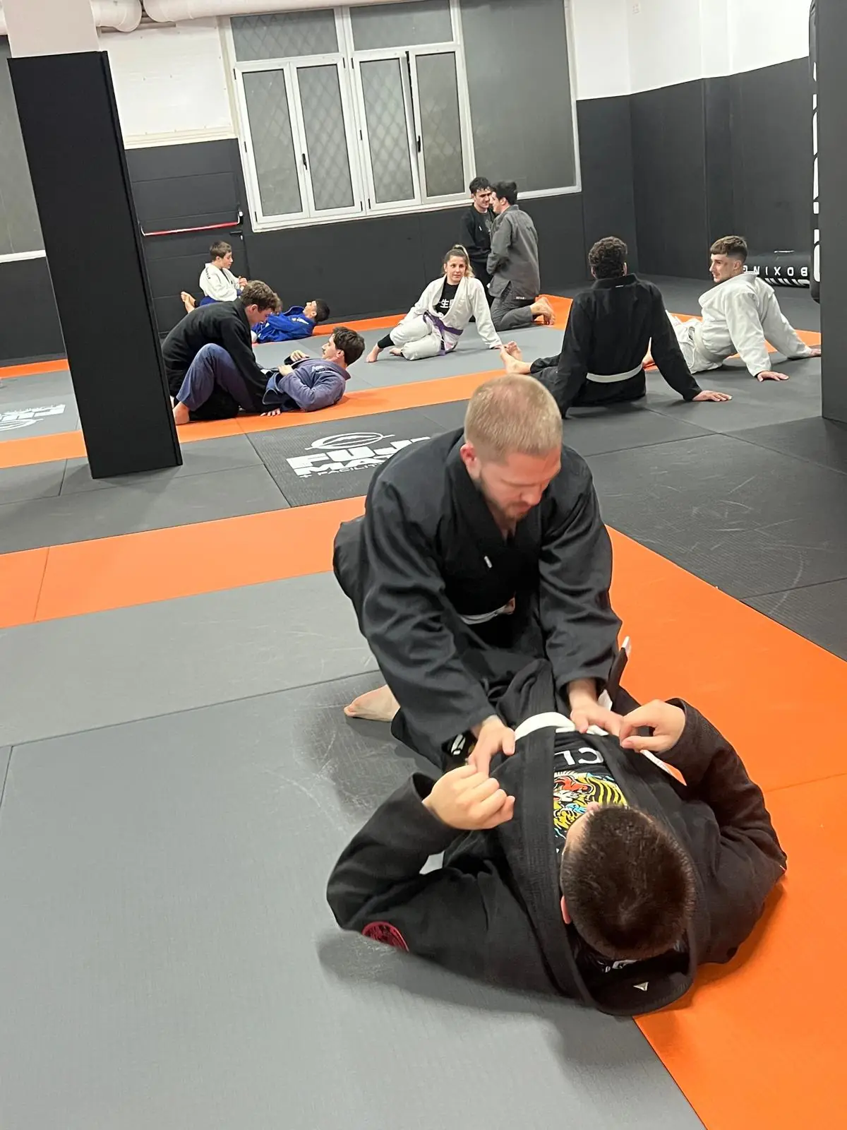 Brazilian Jiu-Jitsu - 9