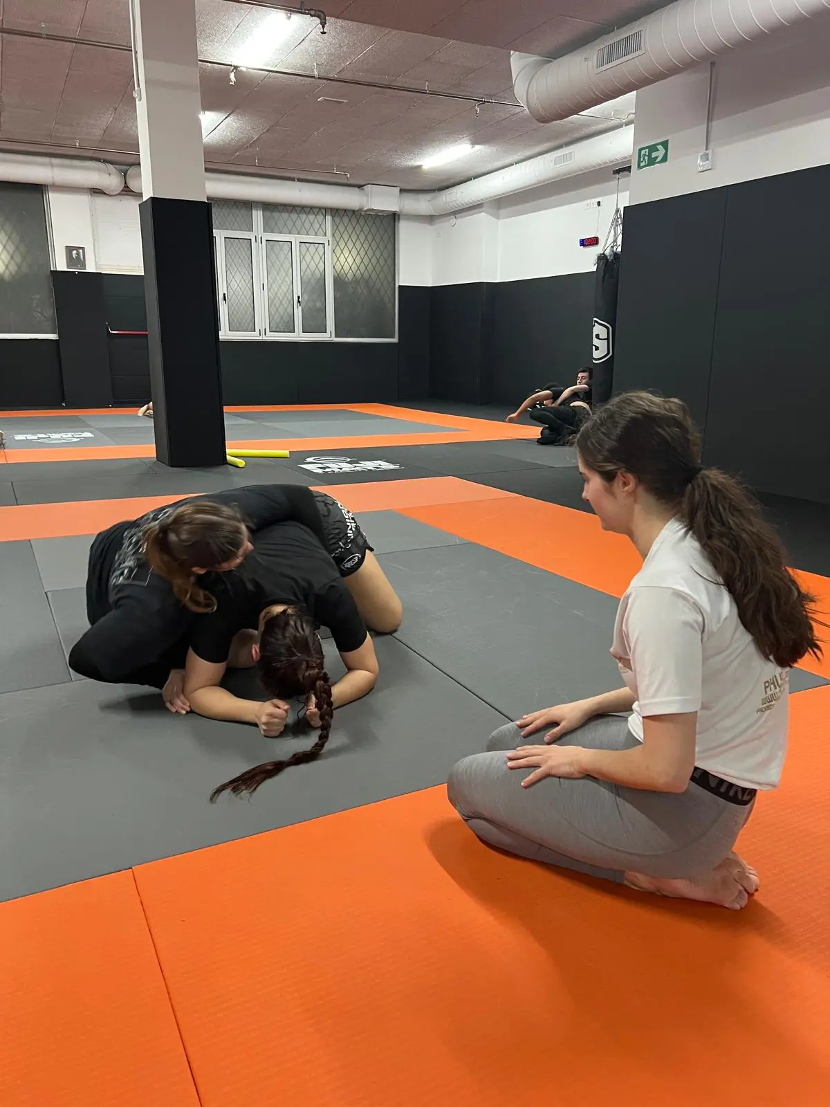 Grappling / Submission Wrestling - 10