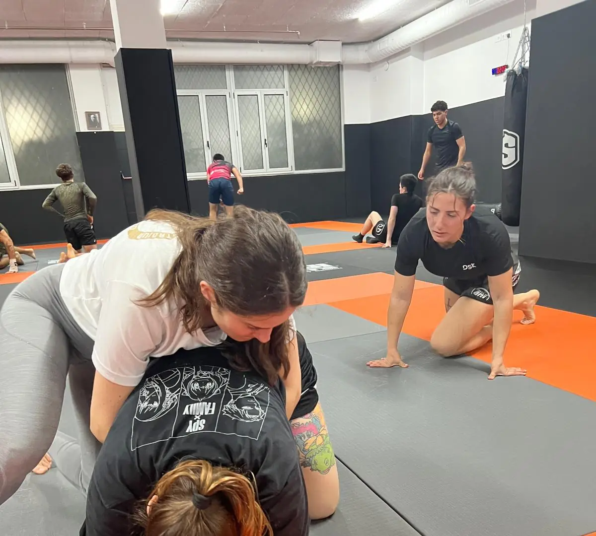 Grappling / Submission Wrestling
