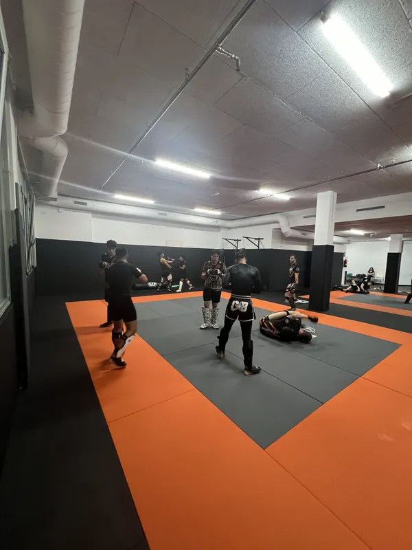 Artes Marciales Mixtas - 1