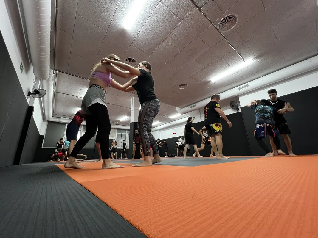 Artes Marciales Mixtas - 2