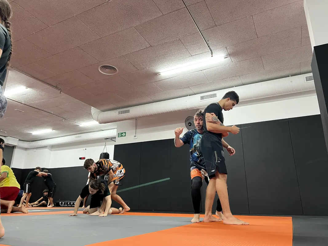 Artes Marciales Mixtas - 4