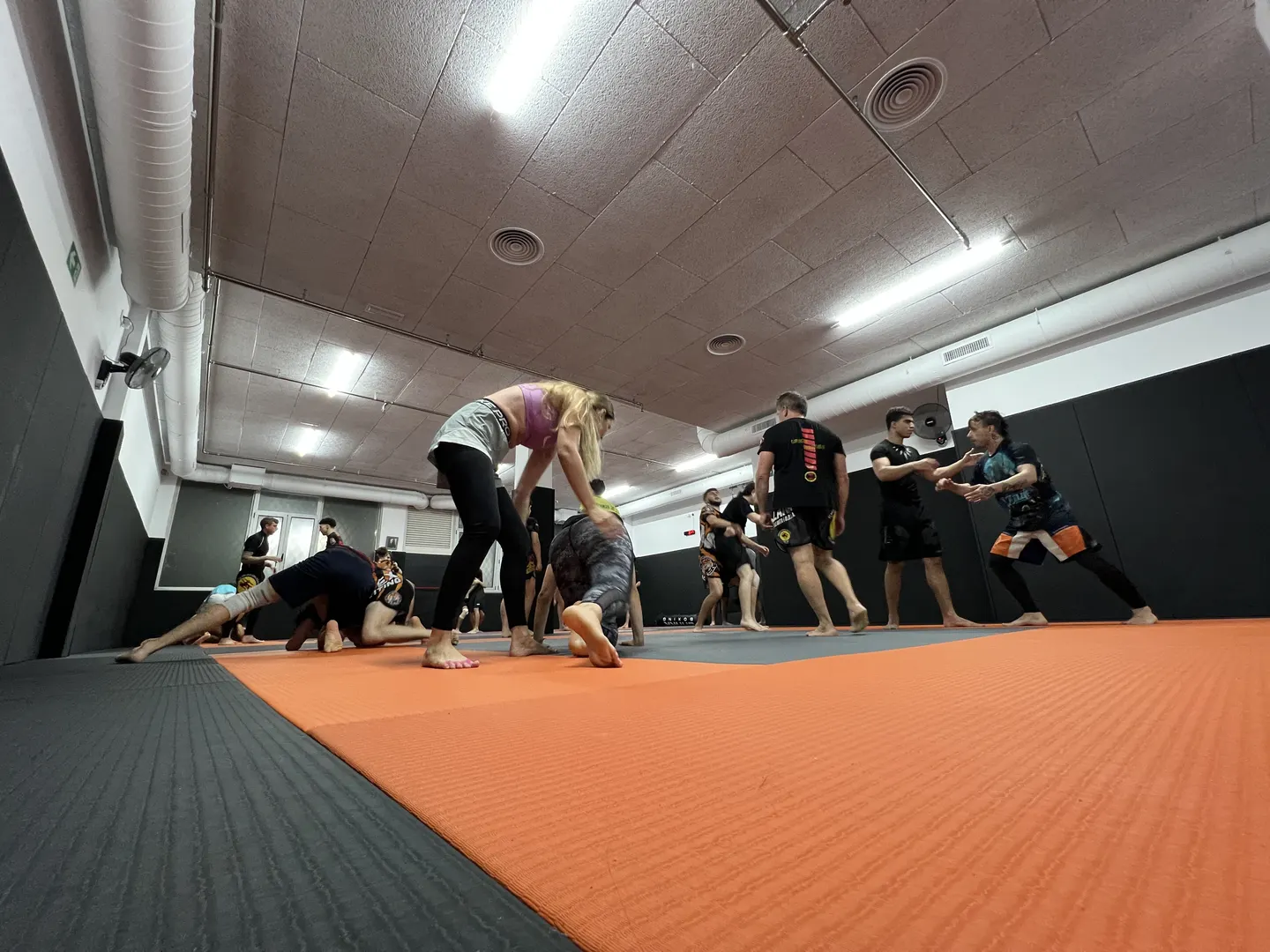 Artes Marciales Mixtas