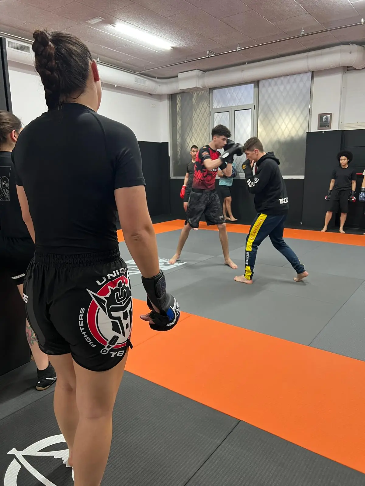 Sambo - 17