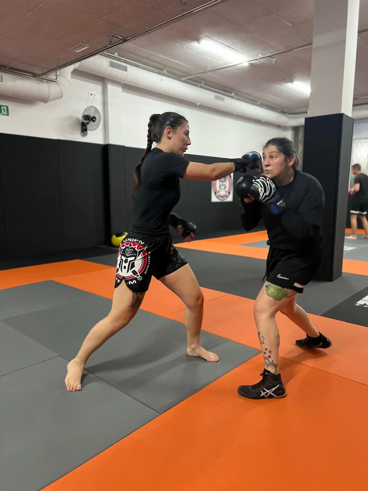 Sambo - 20
